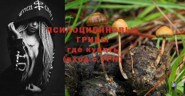 прущие грибы Баксан