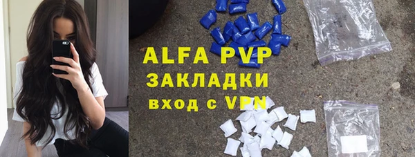 прущие грибы Баксан