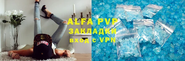 прущие грибы Баксан