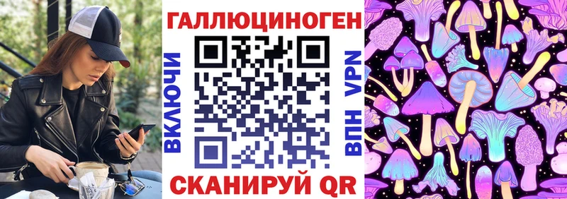 где купить   Юрьевец  Галлюциногенные грибы ЛСД 
